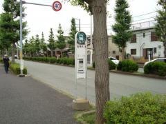 「高洲入口」バス停留所