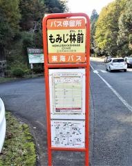 「もみじ林前」バス停留所