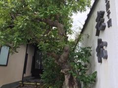 老松嵐山店