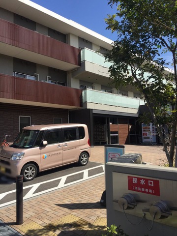 かえで