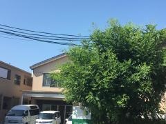 アミューズ富永ショートステイえんじゅ