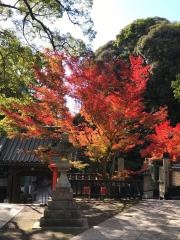 清澄寺庭園