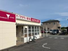 フラワー薬局　城山店