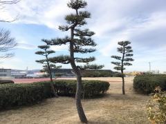 岩沼市陸上競技場