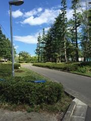 多賀城緑地