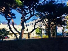鶴ヶ島市立鶴ヶ島中学校