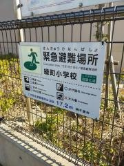 緑町小学校