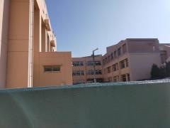 緑町小学校