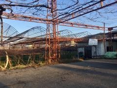矢島園
