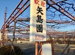 矢島園