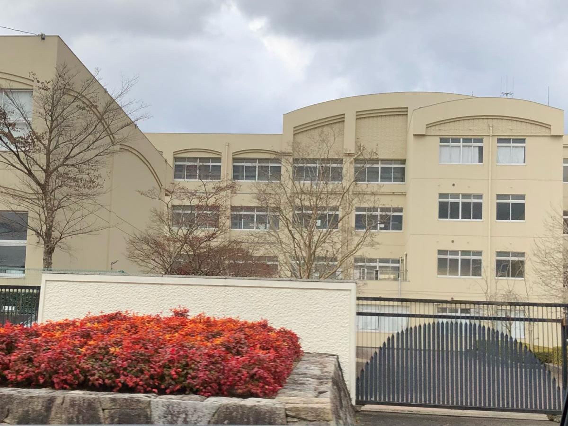 岡崎 市立 竜南 中学校
