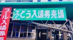 巨峰園