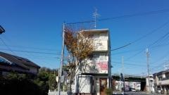 ＰｅｔＳｈｏｐＤａｉｓｙｈｉｌｌ