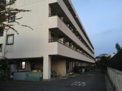 ベストライフ志木