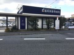 福岡東動物病院
