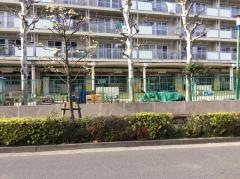 辰沼保育園