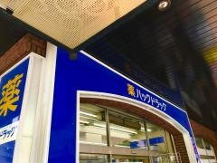 ハックドラッグ　綱島西店