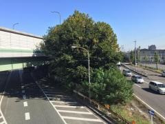 千鳥街園