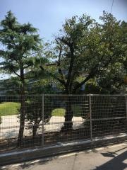 大阪府立阪南高等学校