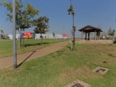 つくしの公園