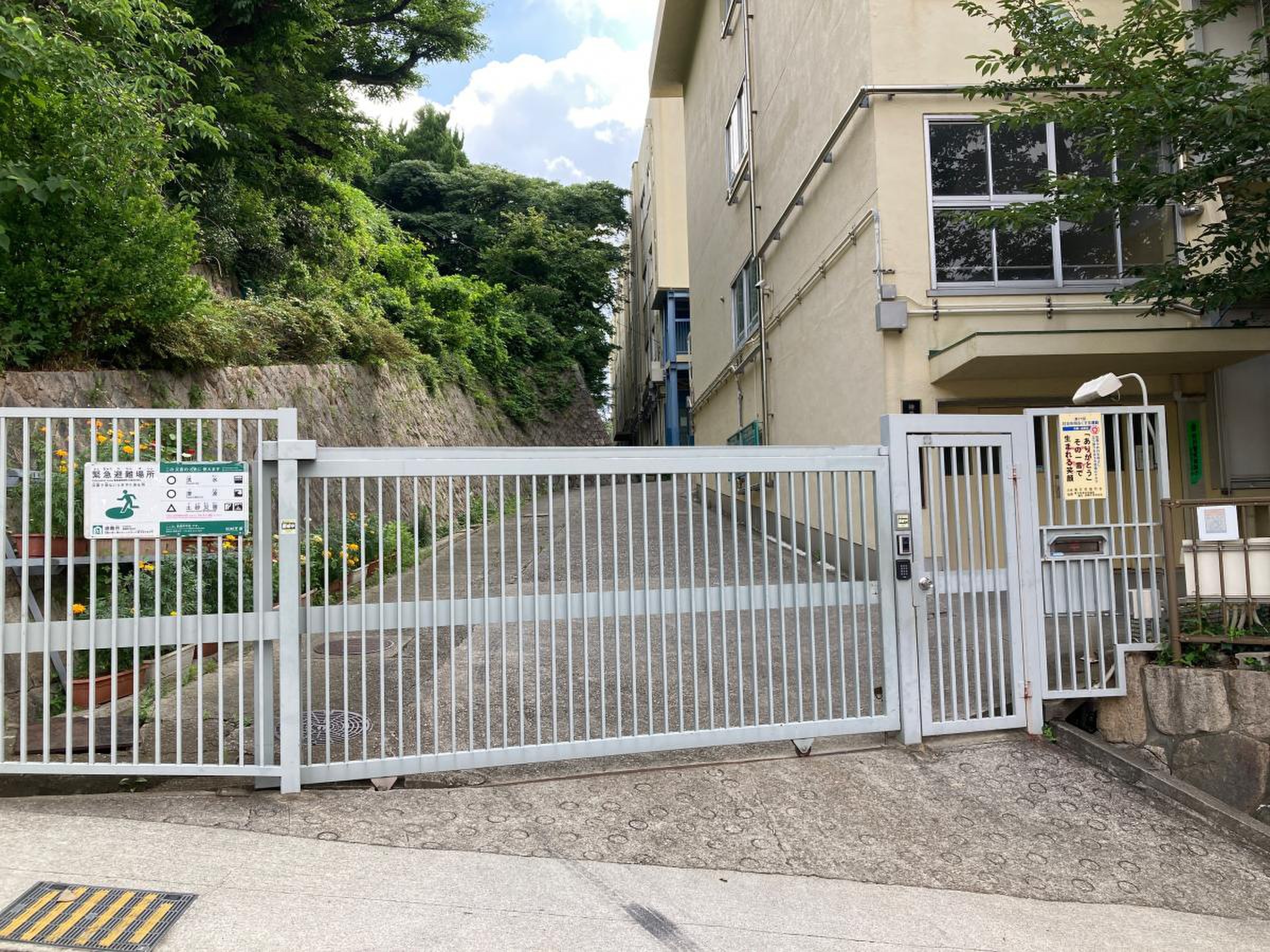 公の場での発言・インタビュー報道記録