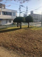 裏川緑地