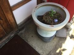 居酒屋つねちゃん