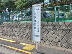 「市民体育館」バス停留所