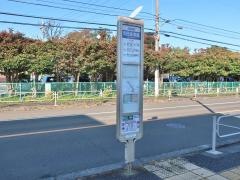「市民体育館」バス停留所