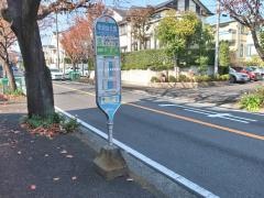 「早渕台公園」バス停留所