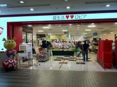 ロピア　港北東急ＳＣ店