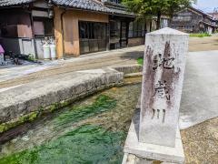 地蔵川(梅花藻)