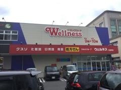 ドラッグストアウェルネス　北田町店