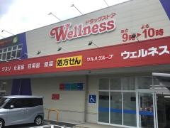 ドラッグストアウェルネス　北田町店