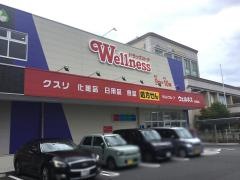 ドラッグストアウェルネス　北田町店