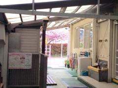 しらとり台保育園