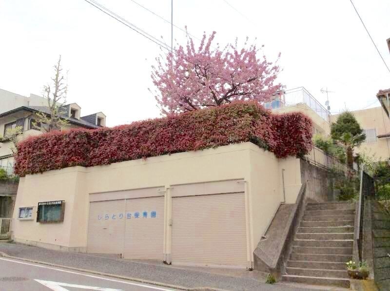 しらとり台保育園