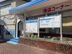 イルカ島海洋遊園地