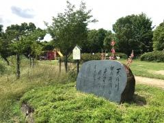 天野川緑地