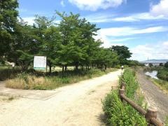 天野川緑地