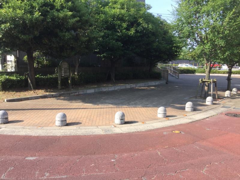 整備された緑地