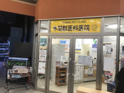 ドッグメディカル 本間獣医科医院カインズ茂原病院 茂原市腰当