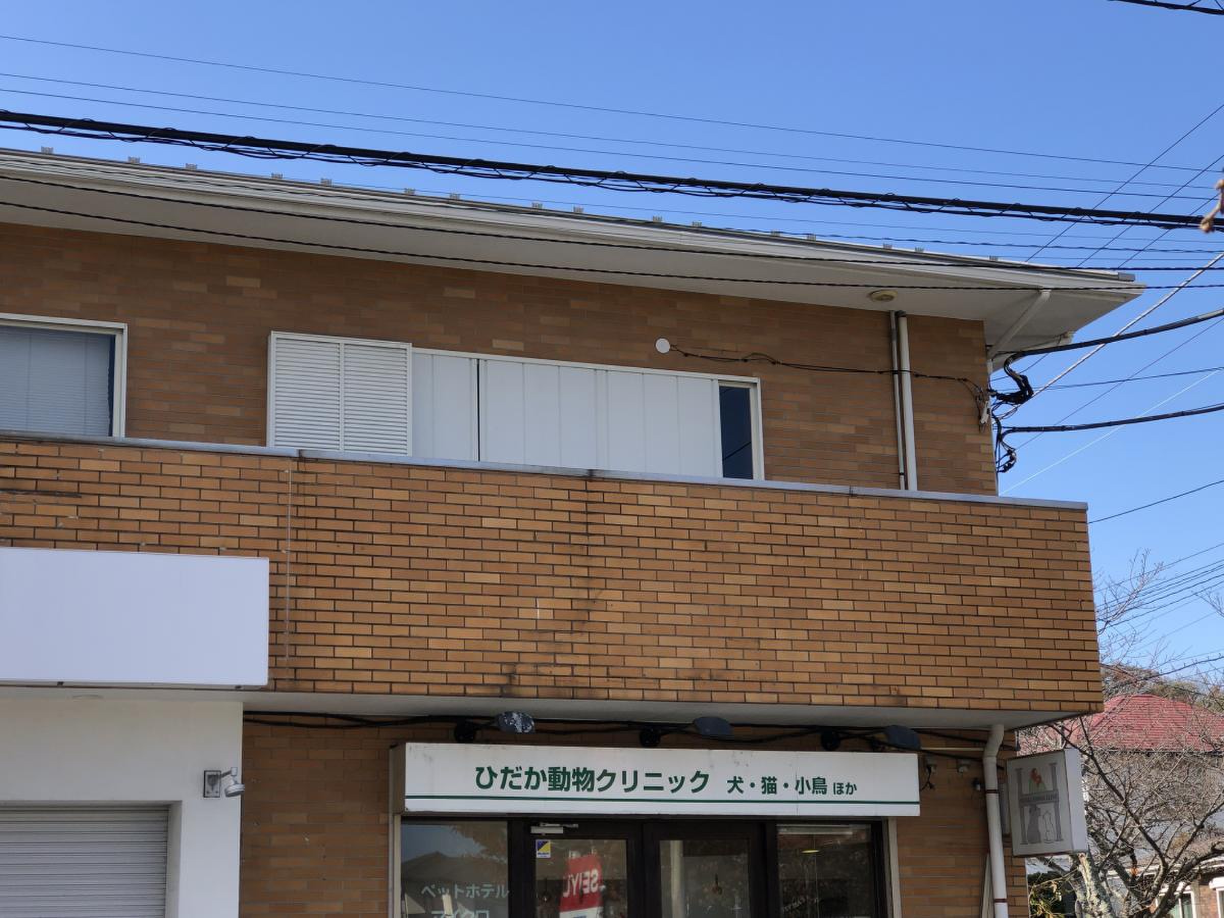 当時のメディア報道・掲載写真