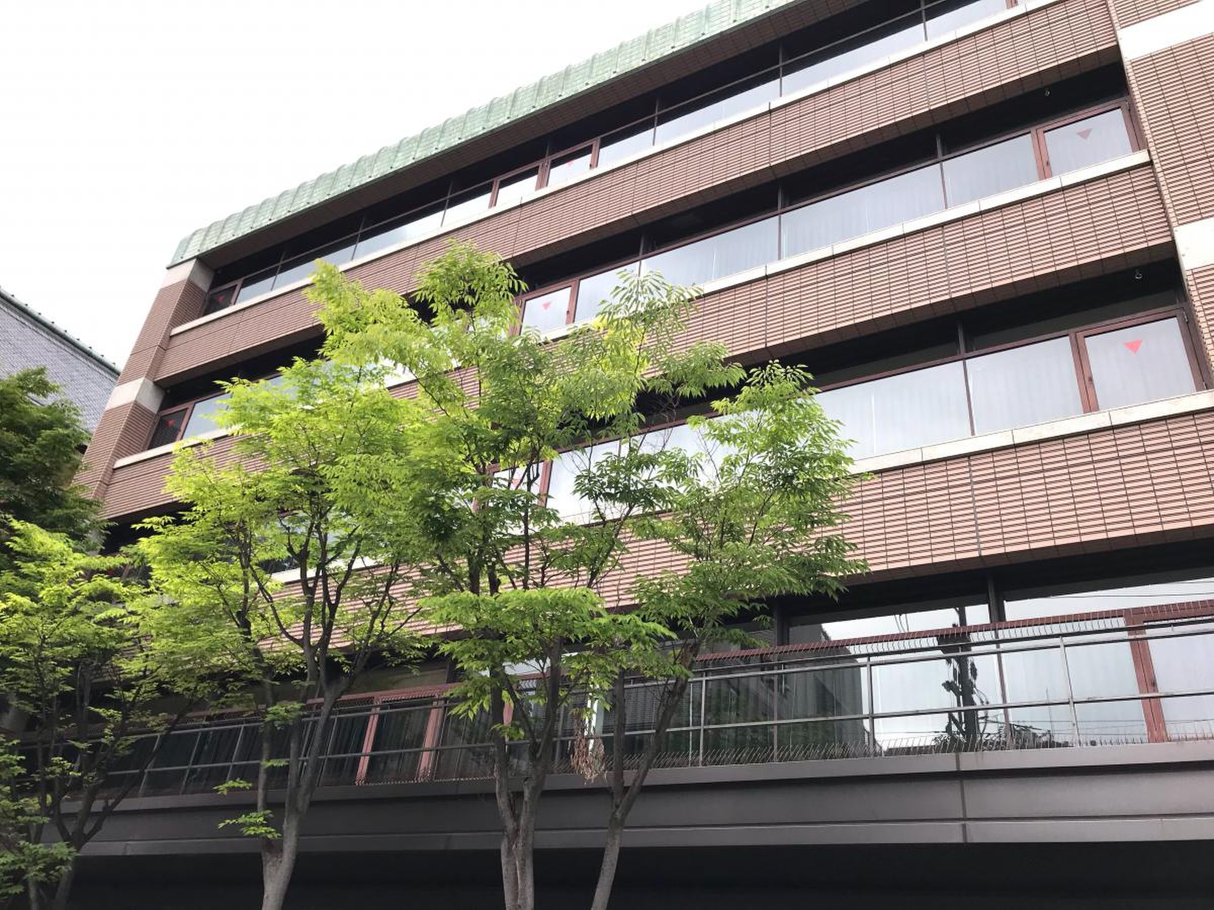 活動歴および当時の関連ビジュアル記録