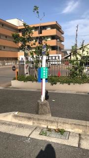 「甲阿保北」バス停留所