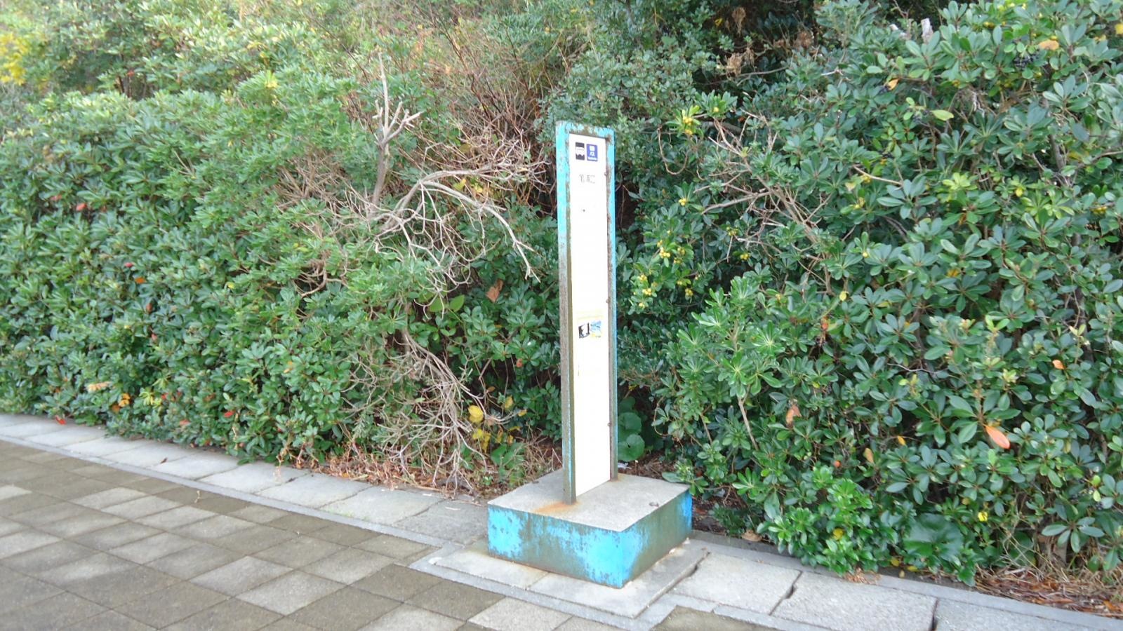 北から撮影