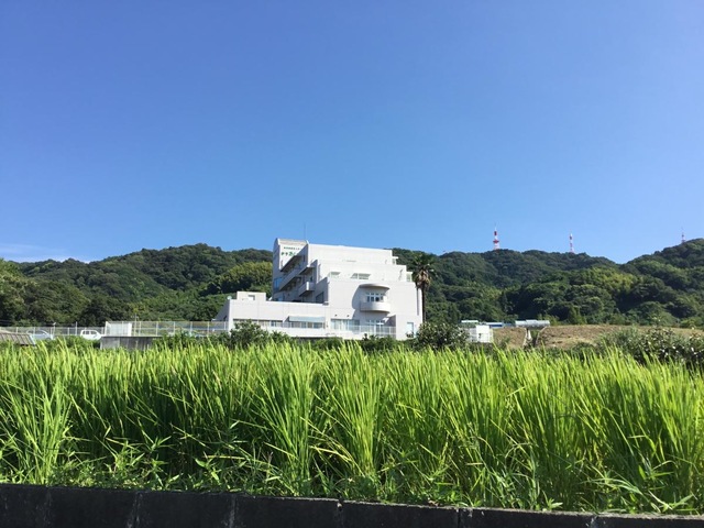 伊予あいじゅ