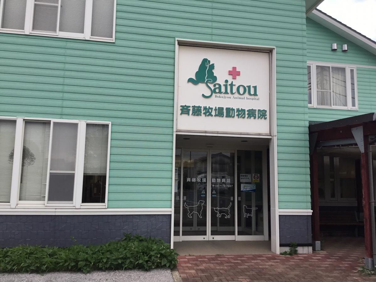 入口付近