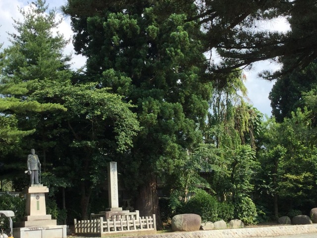 投稿写真1