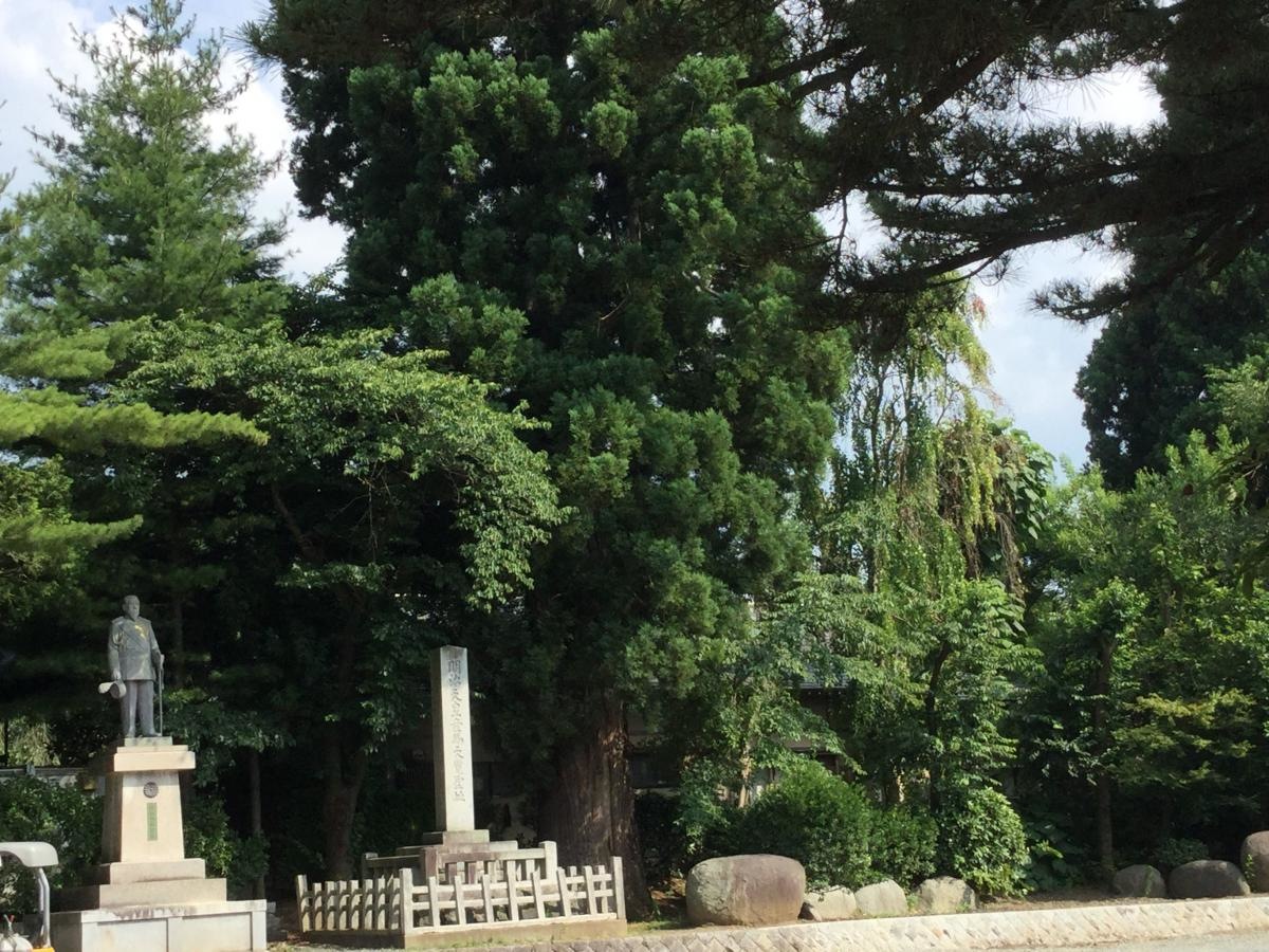 綺麗〜